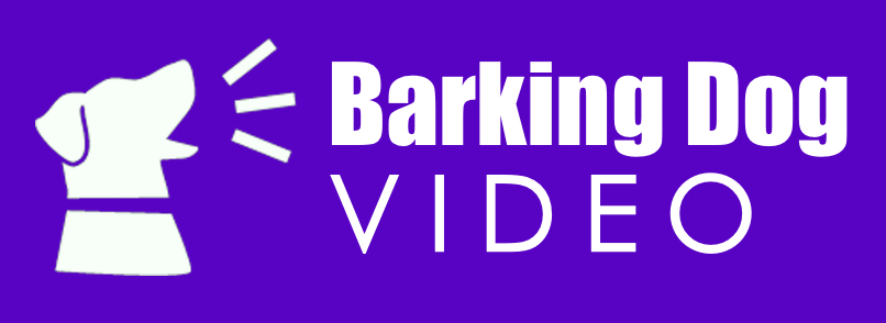 Barking Dog Video